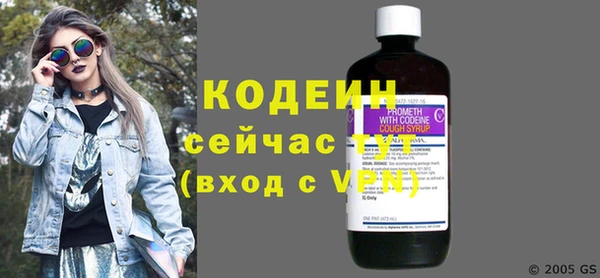 PSILOCYBIN Ельня