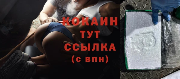 ALPHA PVP Елизово