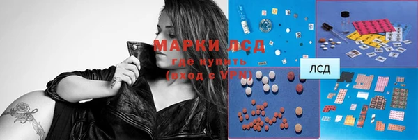 PSILOCYBIN Ельня