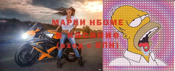 PSILOCYBIN Ельня
