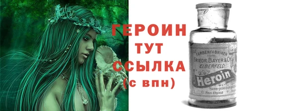 PSILOCYBIN Ельня