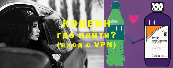 PSILOCYBIN Ельня