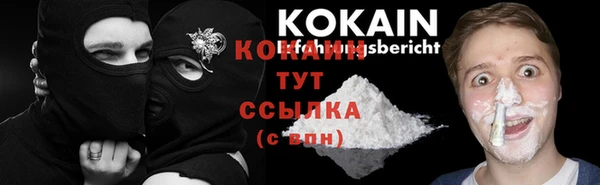 ALPHA PVP Елизово