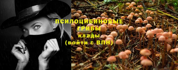 ALPHA PVP Елизово