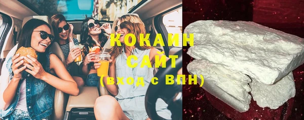 PSILOCYBIN Ельня