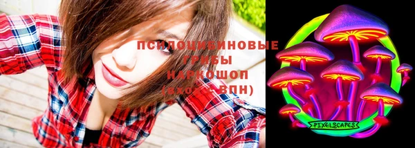 PSILOCYBIN Ельня