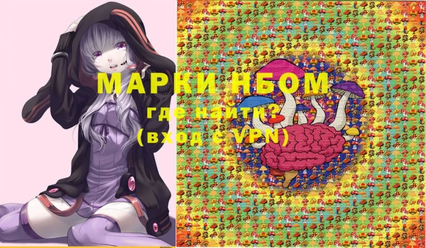 PSILOCYBIN Ельня